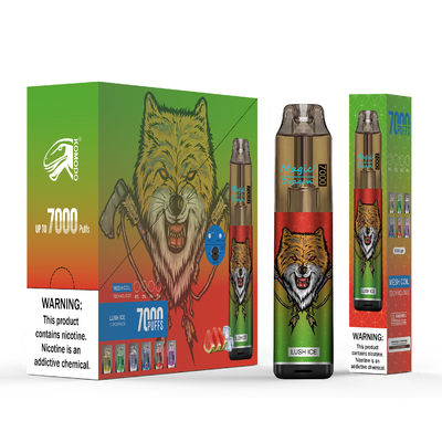 Einweg-Vape 7000 Puffs 850mAh Wiederaufladbarer Vape Pen Elektronische Zigarette