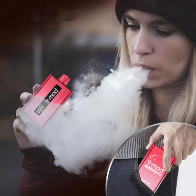 Einweg-Elektronische Zigarette 2% 5% E Cig Mesh Coil V-mod 10000 Puffs